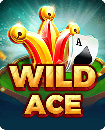 Wild Ace game artwork